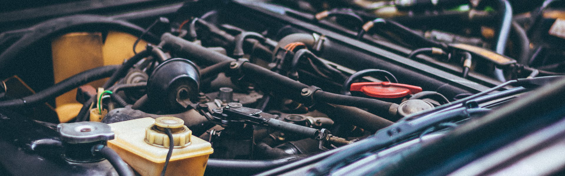 Fotografii atent lucrate